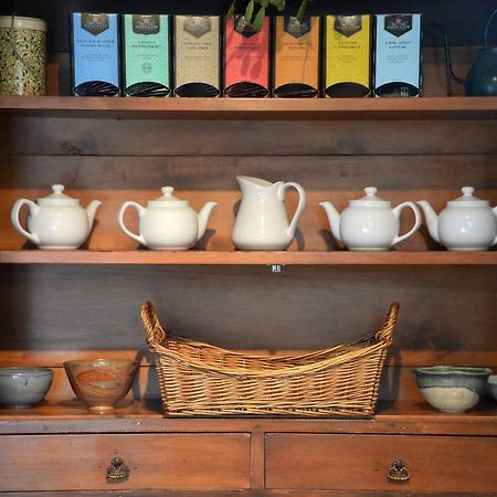 The Springwater Bed And Breakfast Saratoga Springs Extérieur photo