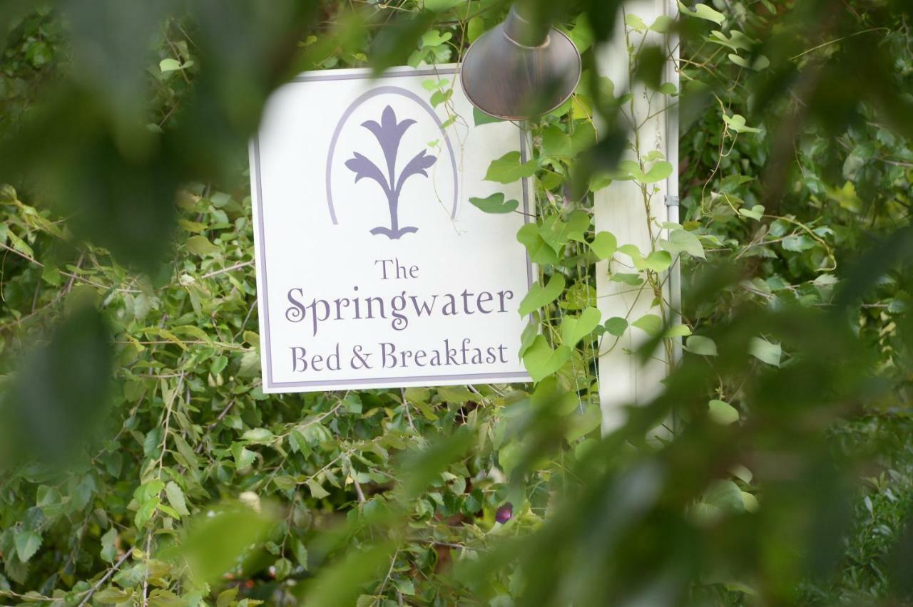 The Springwater Bed And Breakfast Saratoga Springs Extérieur photo